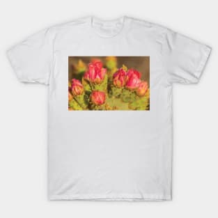 Prickly Pear Cactus Blossoms T-Shirt